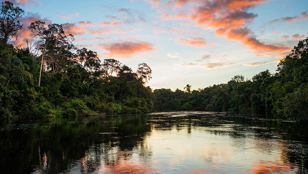 Earth's Great Rivers