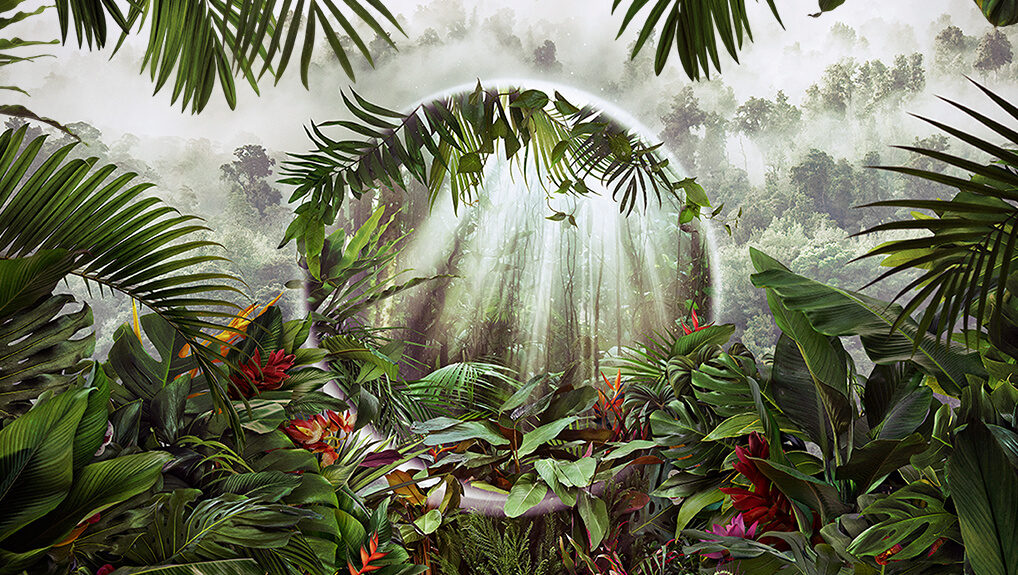 The Green Planet